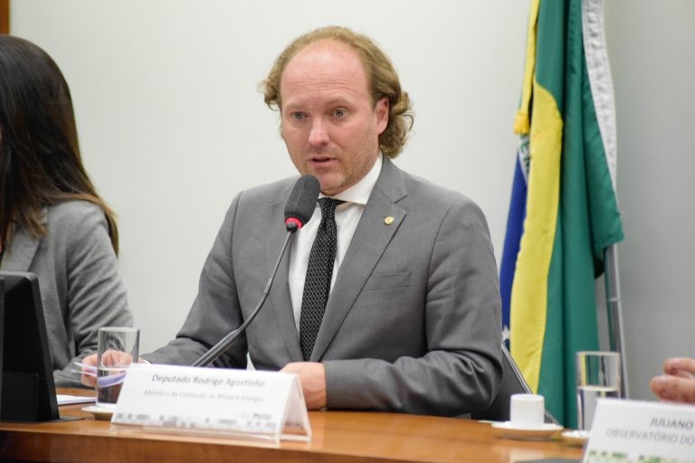 Comissão aprova projeto que destina multas por maus-tratos de animais a abrigos temporários