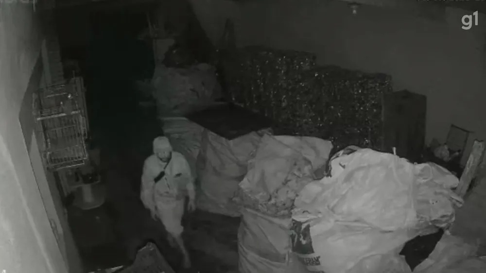 Durante tentativa de assalto, ladrão agride idosos e pitbull; ele foi preso