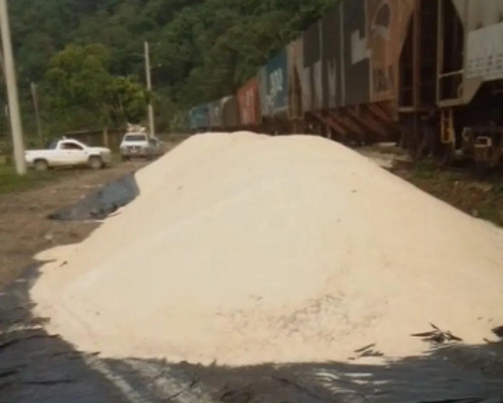Vândalos e ladrões atacam trens da Rumo na Baixada e espalham carga de açúcar
