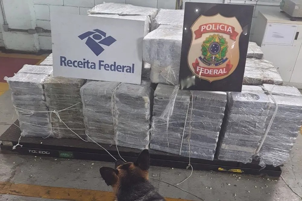 PF e Receita apreendem mais de 800 quilos de cocaína em carregamento de amendoim;cão foi o herói