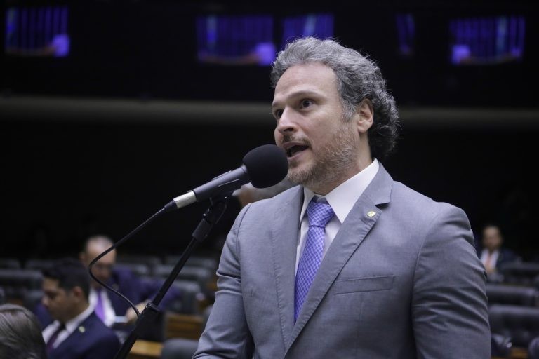 Proposta regulamenta direitos de animais comunitários