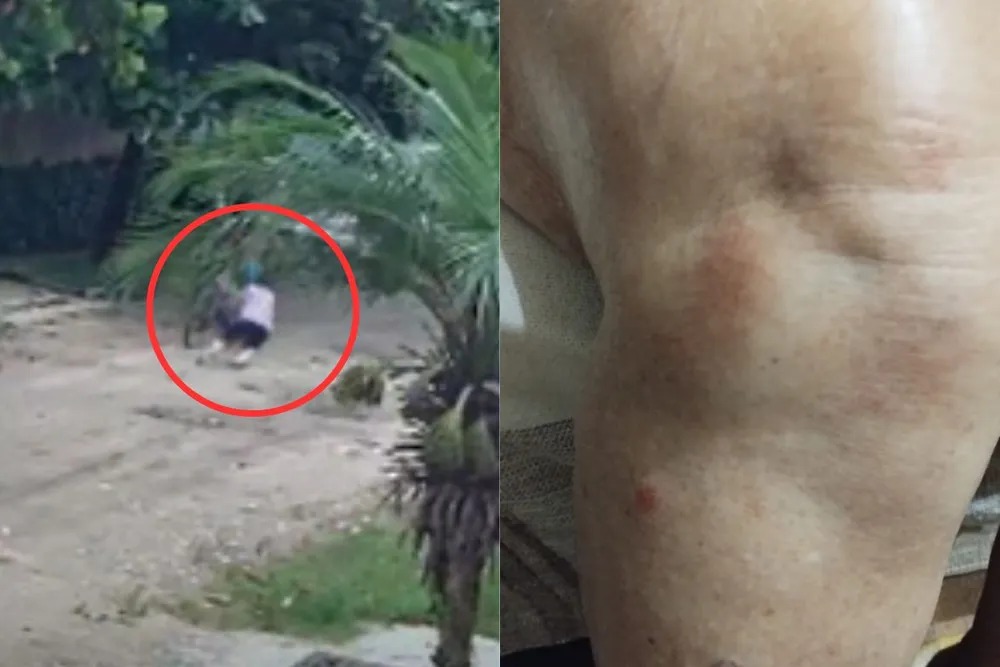 Mulher de 77 anos é roubada por assaltante e jogada na calçada;ela chorava