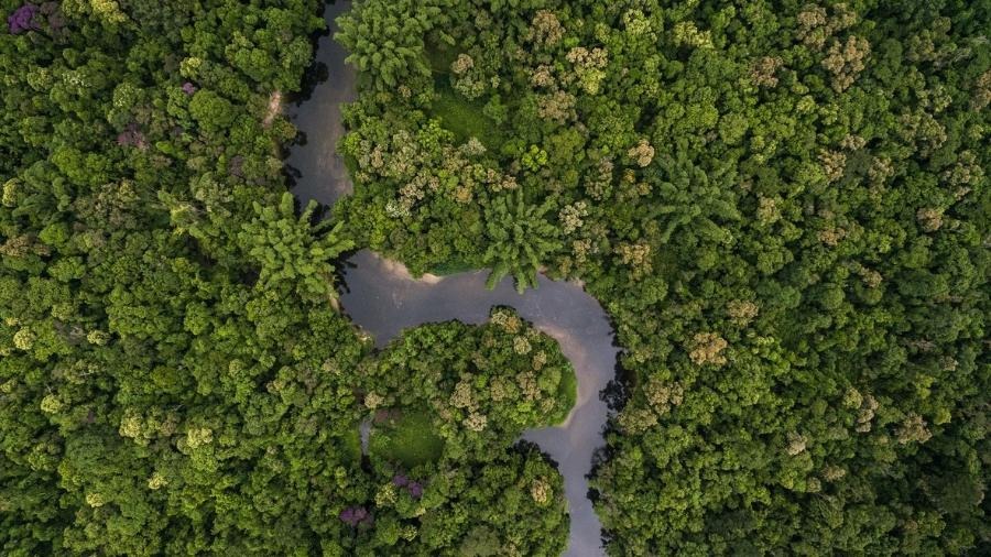 Mesmo sem proibição expressa, Incra visa anular compra de área na Amazônia por empresa estrangeira