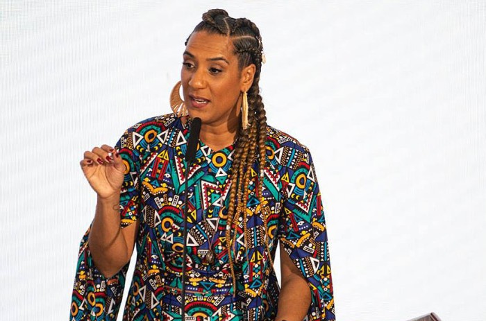 Ministra Anielle Franco participa de audiência da CDH na quarta-feira