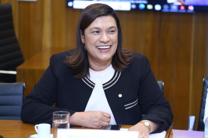 Secretaria da Mulher promove debate sobre princípios da OCDE para políticas de gênero e orçamento