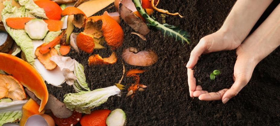 Aquário de Santos promove atividades sobre compostagem em maio