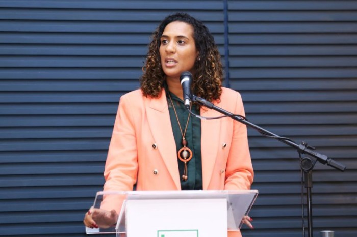 Comissão ouve ministra da Igualdade Racial sobre prioridades da pasta