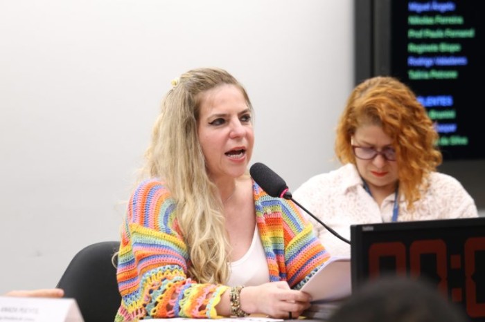 Lei contra LGBTfobia deve assegurar mesmos direitos já concedidos pelo STF, defendem debatedores