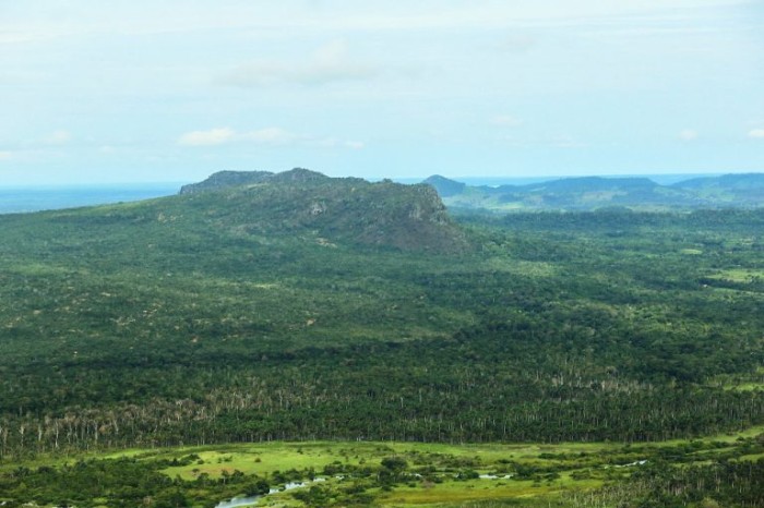 Lei autoriza comércio de crédito de carbono e acesso à biodiversidade em florestas públicas