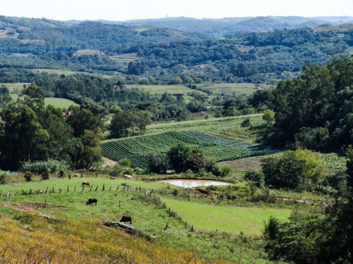Comissão de Agricultura debate regulamentação da política de pagamento por serviços ambientais
