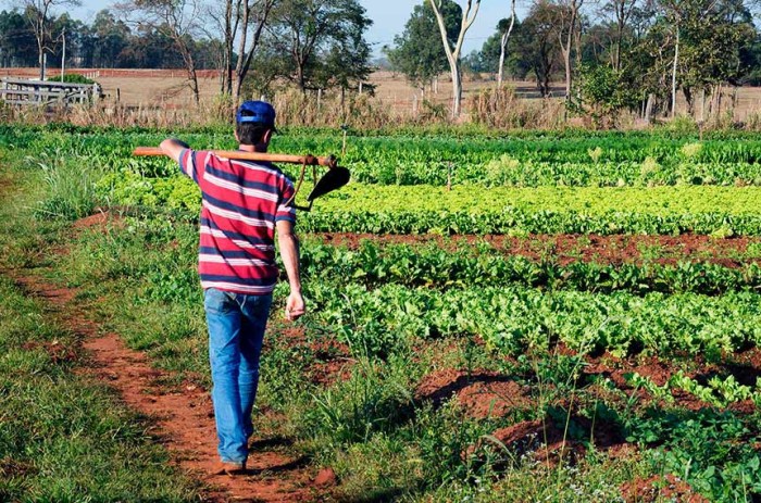 CRA analisa tempo menor para credenciamento no Pronater