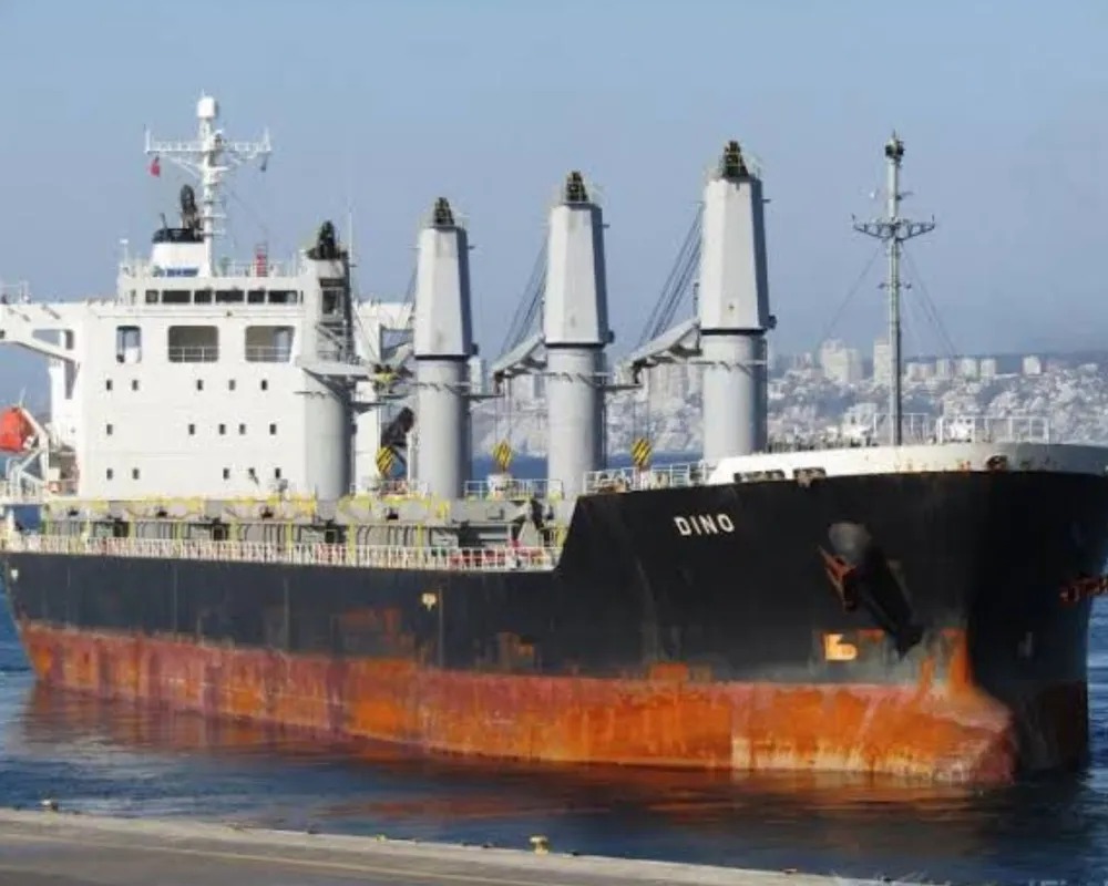 Nigeriano é diagnosticado pela Anvisa com malária; ele é tripulante de navio atracado em Santos