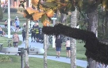 Guardas Municipais prendem homem por porte de drogas na orla de Santos