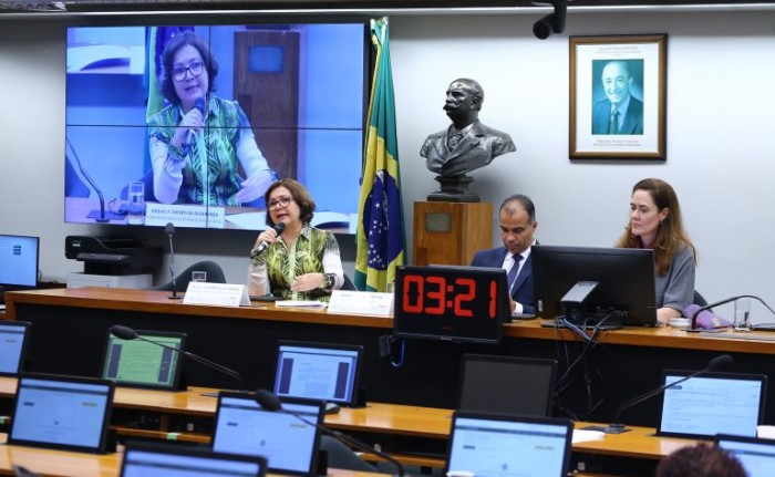 Bolsa Família deve ser uma etapa para a concessão de renda básica universal, defendem debatedores