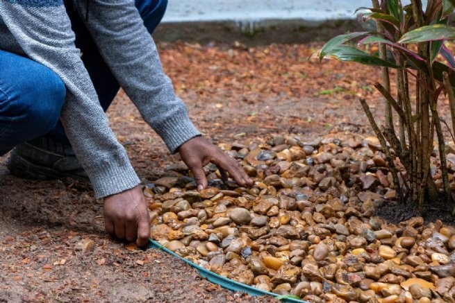 Prefeitura de São Sebastião forma turma em curso de jardinagem promovido em parceria com o Senar