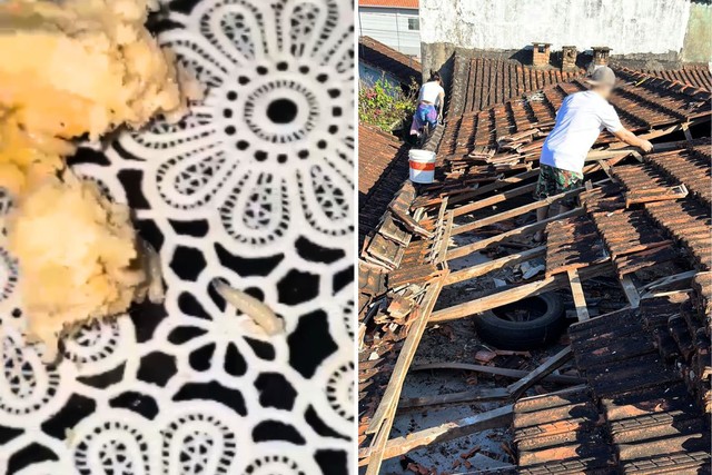 Mulher come empadas com recheio de larvas e frango