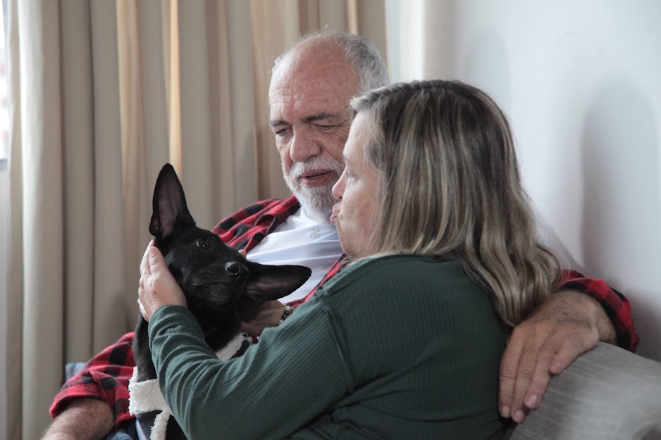 Programa da Codevida recupera cão e dá novo lar aí animal 
