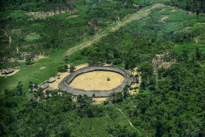 Comissão da Amazônia e dos Povos Originários e Tradicionais debate questões relacionadas ao agroindígena