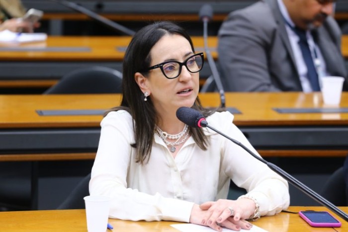 Comissão de Defesa dos Direitos das Pessoas com Deficiência ouvirá ministro Silvio Almeida