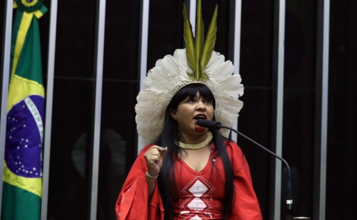 Comissão debate proteção ao Cerrado e à Caatinga