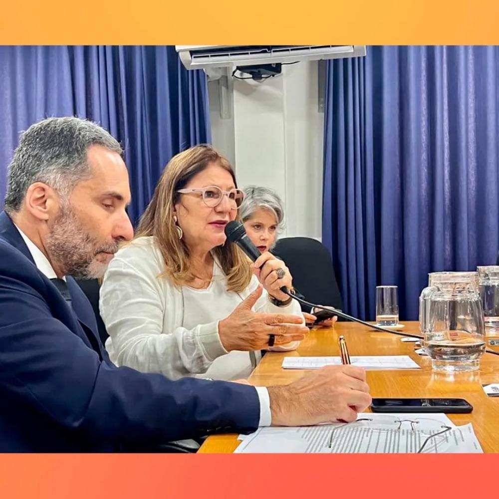 Beth Sahão quer ver Feder explicar compras de material para Educação sem licitação 