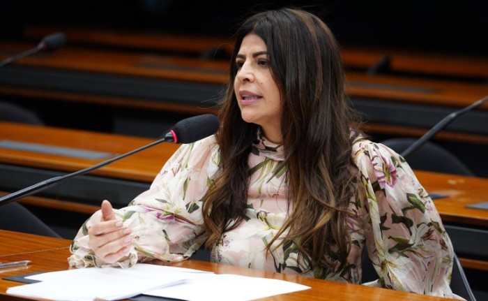 Adiada audiência sobre implementação do mercado de carbono no Brasil