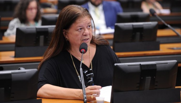 Comissão aprova apoio multidisciplinar no registro de ocorrência de violência doméstica