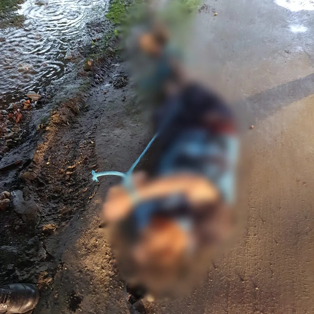 Corpo encontrado sob viaduto tinha sinais de tiros; pés e mãos estavam amarrados