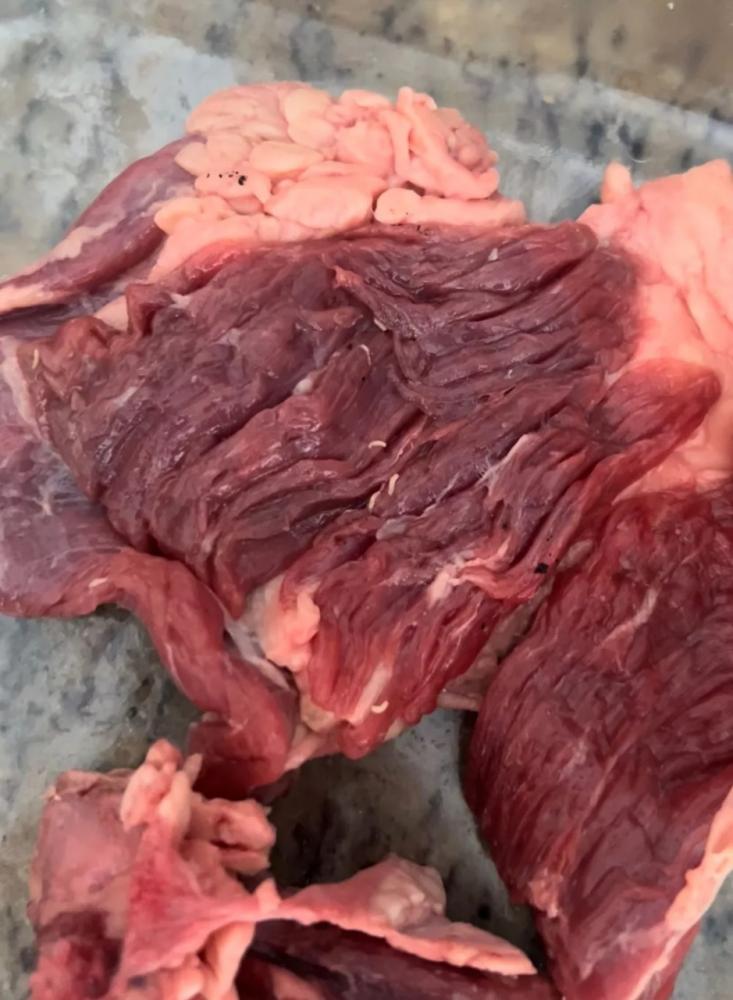 Carne com larvas de moscas consumida por família estava embala a vácuo; 16 pessoas chegaram a comer