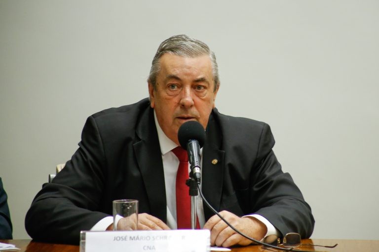 Comissão rejeita projeto que reclassifica áreas adjacentes aos manguezais para proteção ambiental