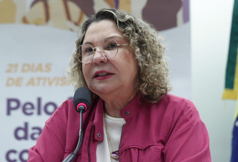 Debatedores alertam para aumento da violência doméstica contra mulheres com deficiência